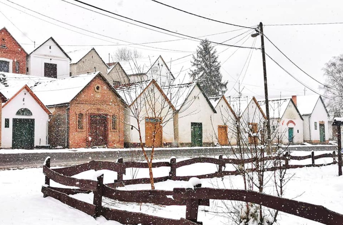 Vince nap 2026 Villány pincejárás