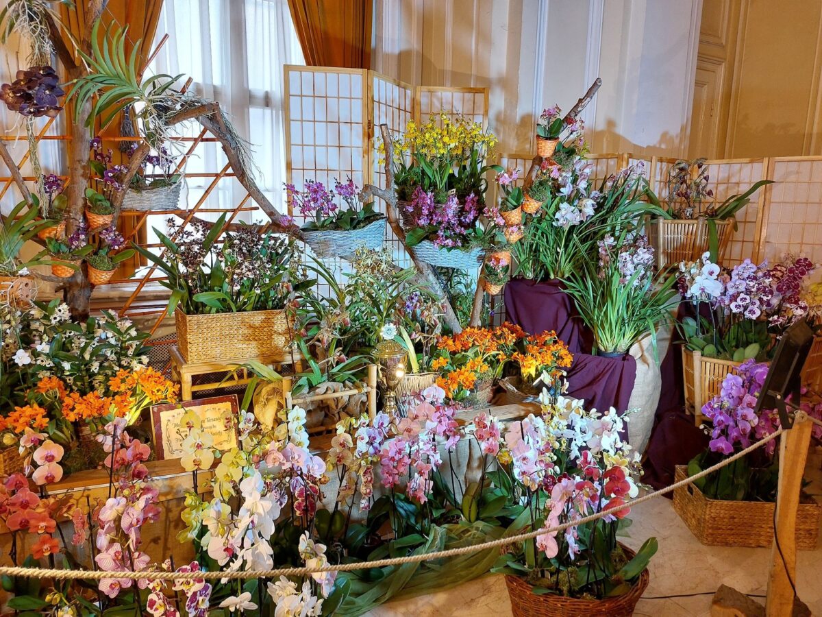 programok, Budapest, március, tavaszi programok