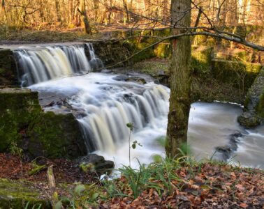 kirándulás, tömegközlekedéssel is elérhető, Budapest környéke, túra, természet