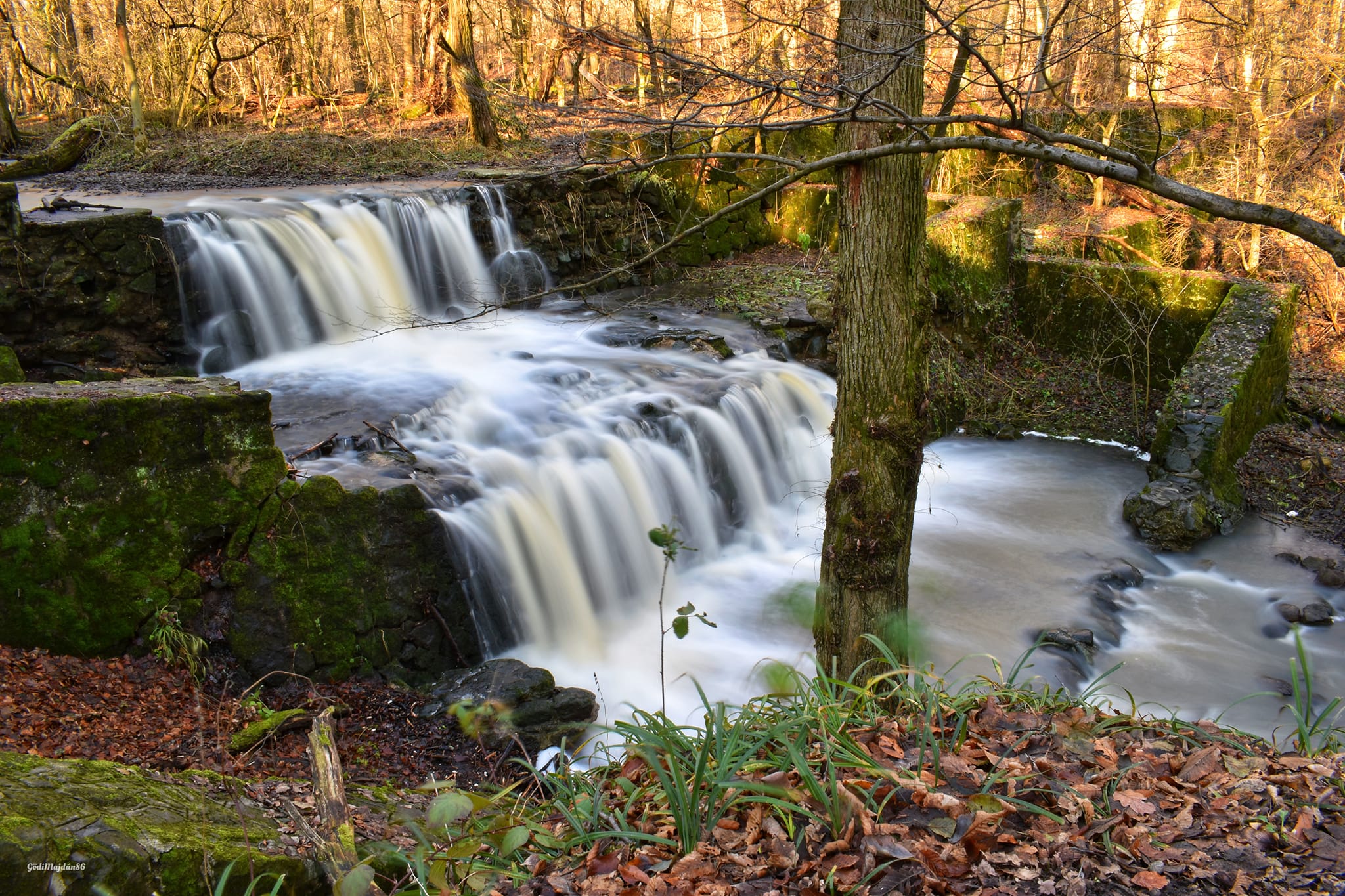 5 tömegközlekedéssel könnyen elérhető kirándulóhely Budapest környékén hétvégi kikapcsolódáshoz