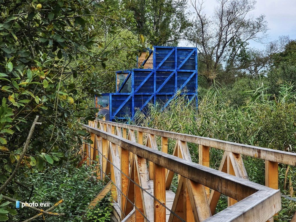 Teknős Tanösvény Dunakeszi