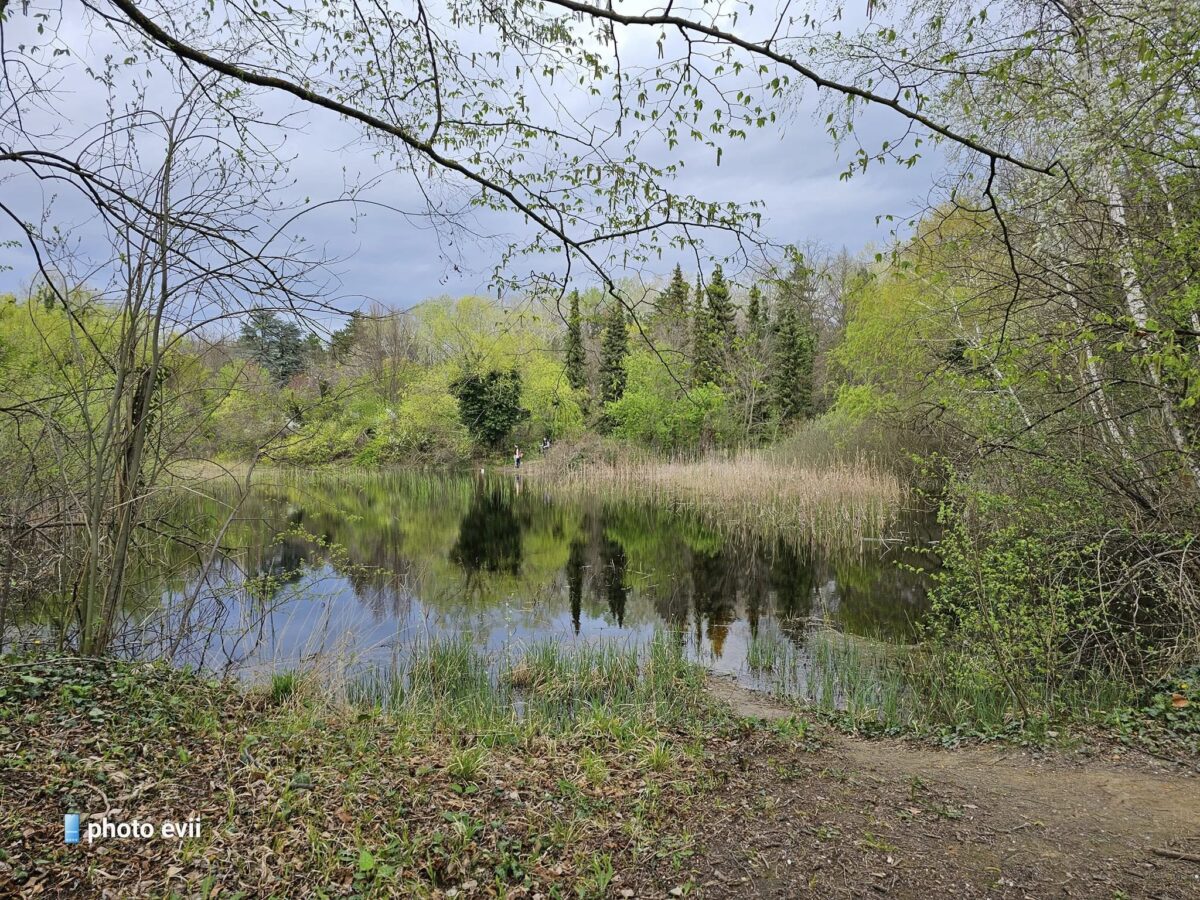romantikus helyszínek, titkos helyek, Budapest, február, Valentin-nap