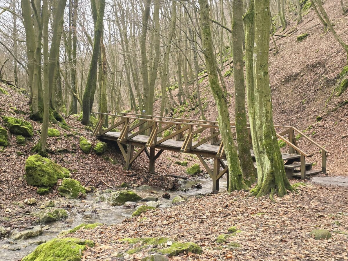 Dera-szurdok, Pilis, Pilisszentkereszt, kirándulás, erdő, természet