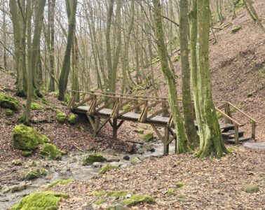 Dera-szurdok, Pilis, Pilisszentkereszt, kirándulás, erdő, természet