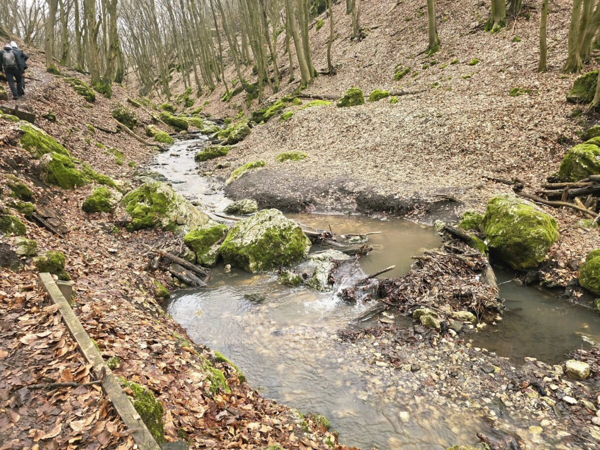 Dera-szurdok, Pilis, Pilisszentkereszt, kirándulás, erdő, természet