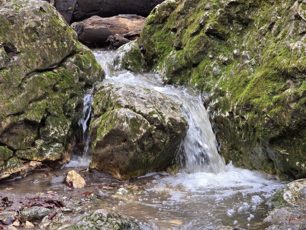 Dera-szurdok, Pilis, Pilisszentkereszt, kirándulás, erdő, természet