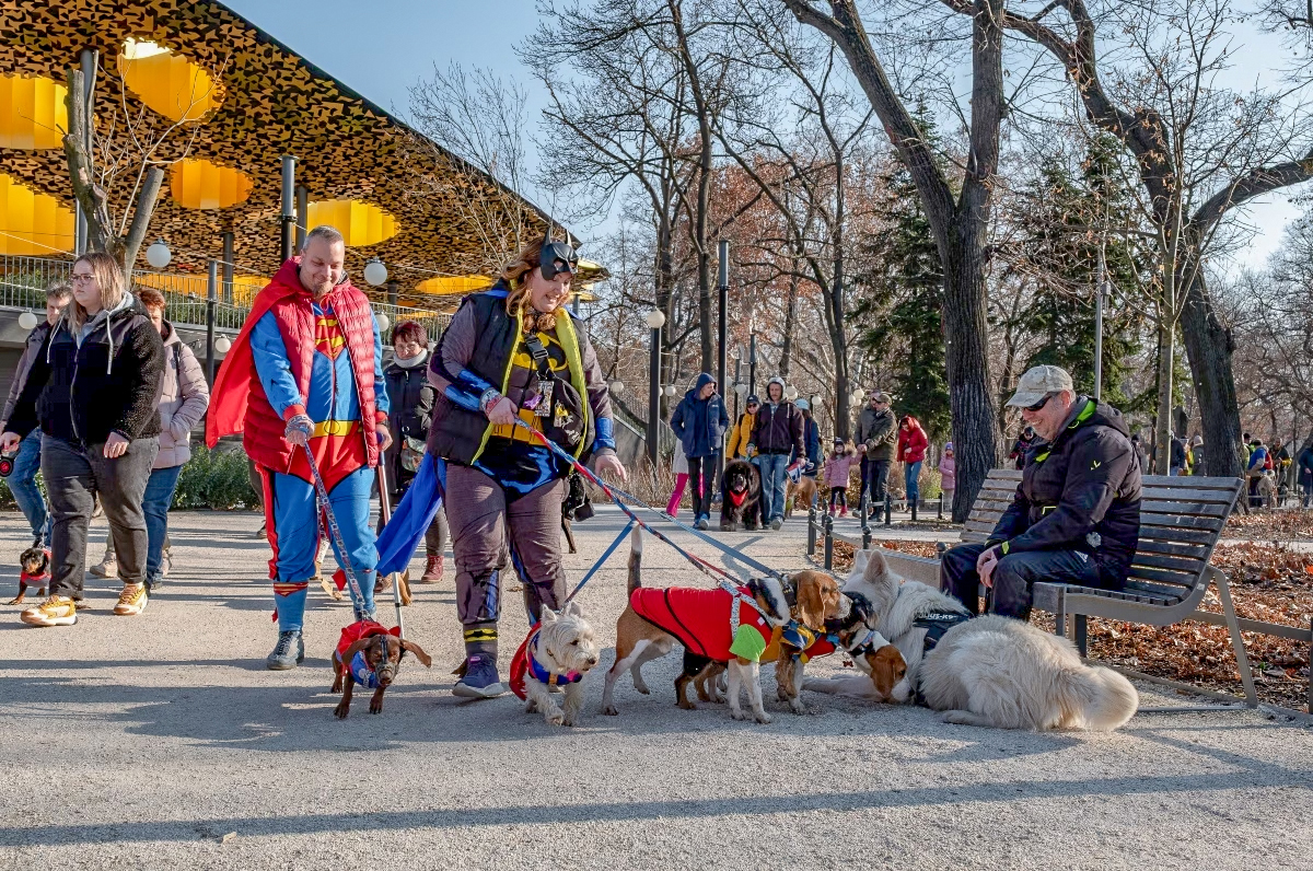 február, ingyenes programok, Budapest