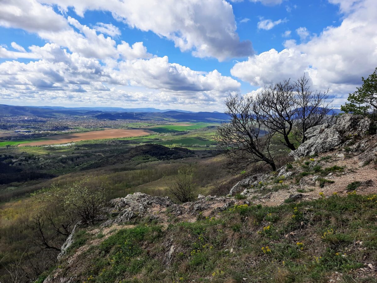 kirándulás, tömegközlekedés, Budapest környéke, erdő, kikapcsolódás, természet, túra