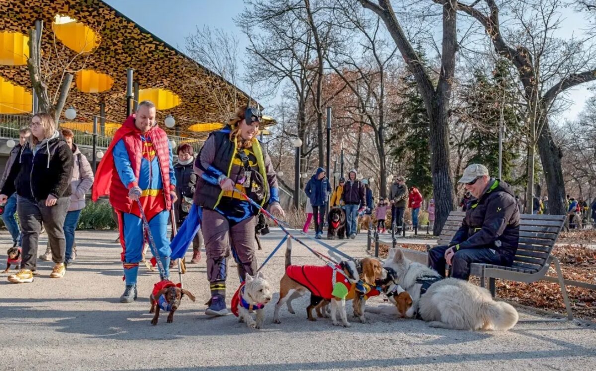 hétvégi programok Budapesten, Valentin-nap 2026