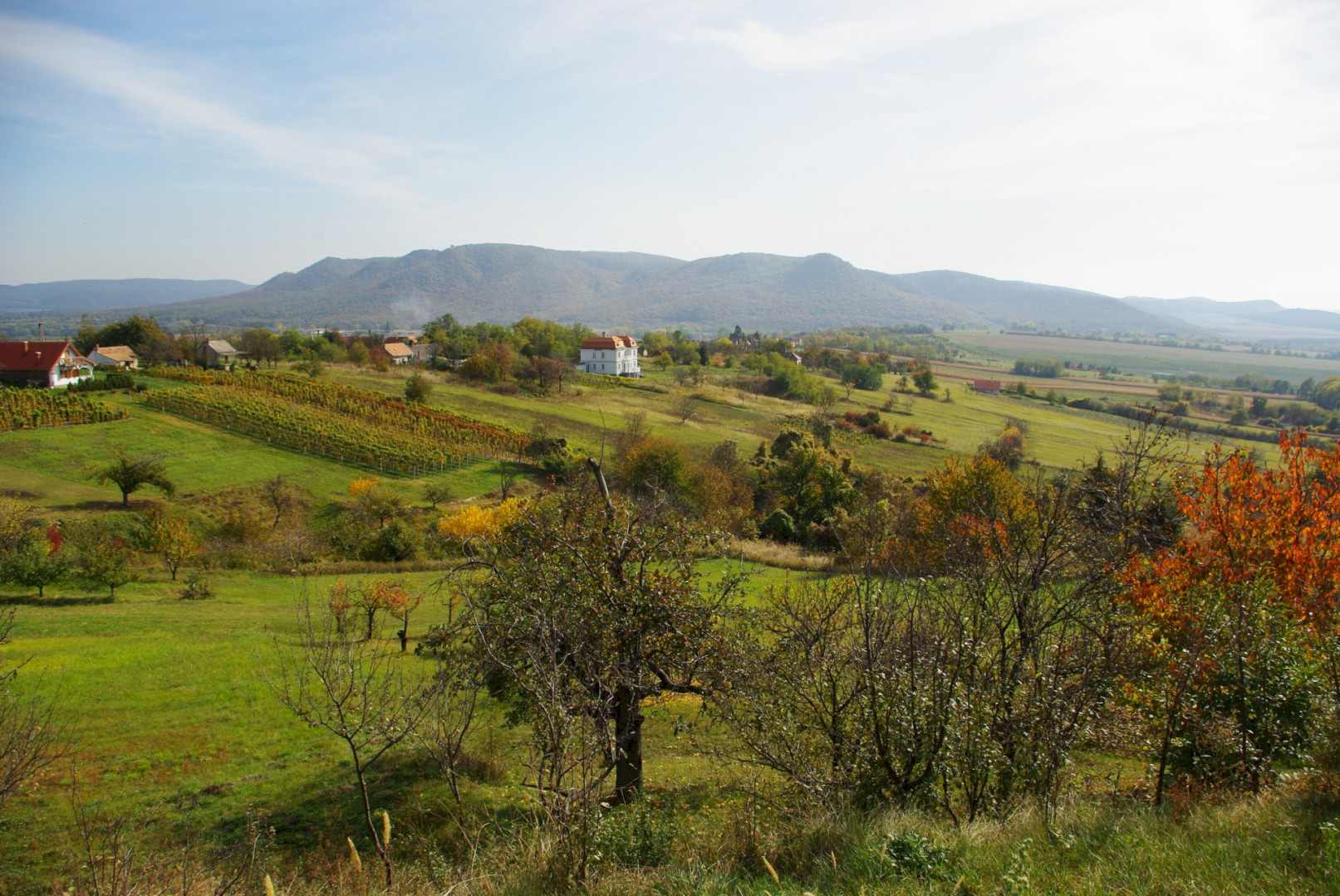 9 bakancslistás kirándulóhely a Balatonnál tavaszi túrázáshoz