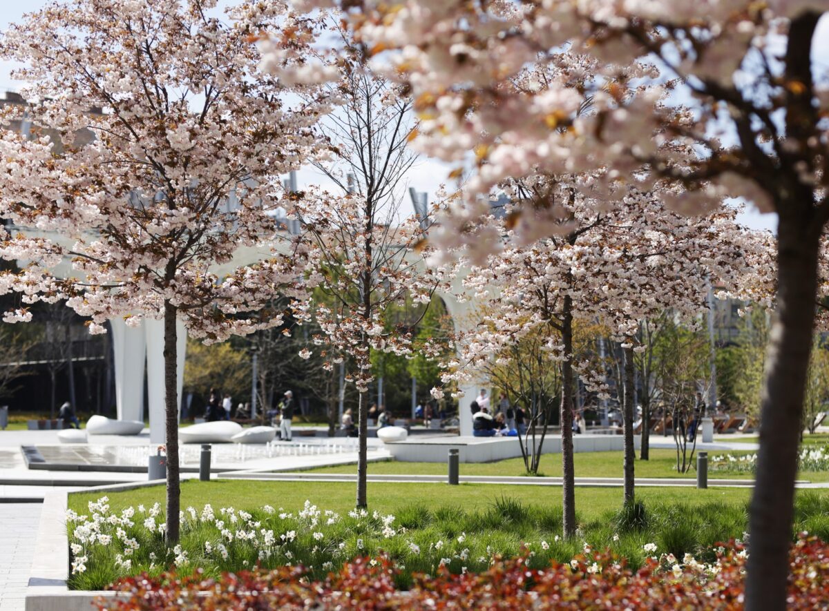 Millenáris Széllkapu-park