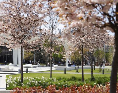 Millenáris Széllkapu-park