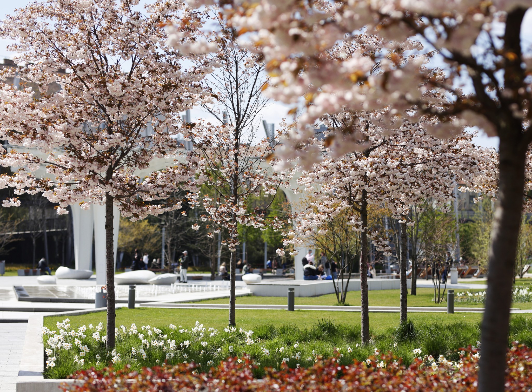 30 virágzó arborétum és kert Budapesten és környékén, ami tavaszi sétára invitál