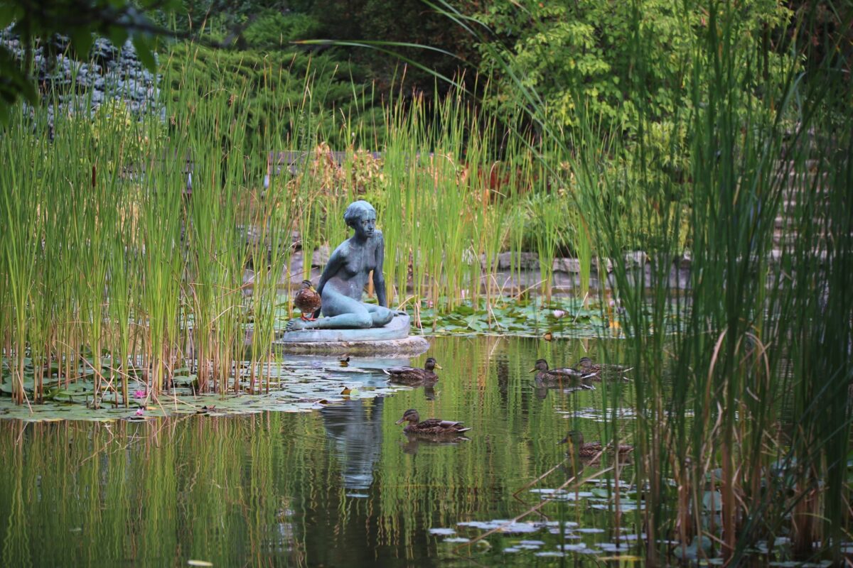 Margitsziget japánkert