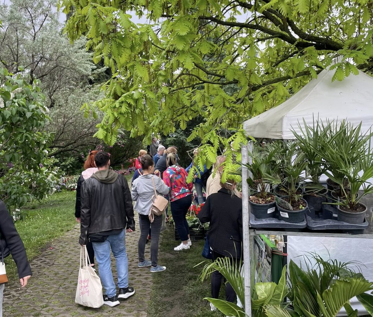 Tavaszkert Dísznövény Szakkiállítás és Vásár