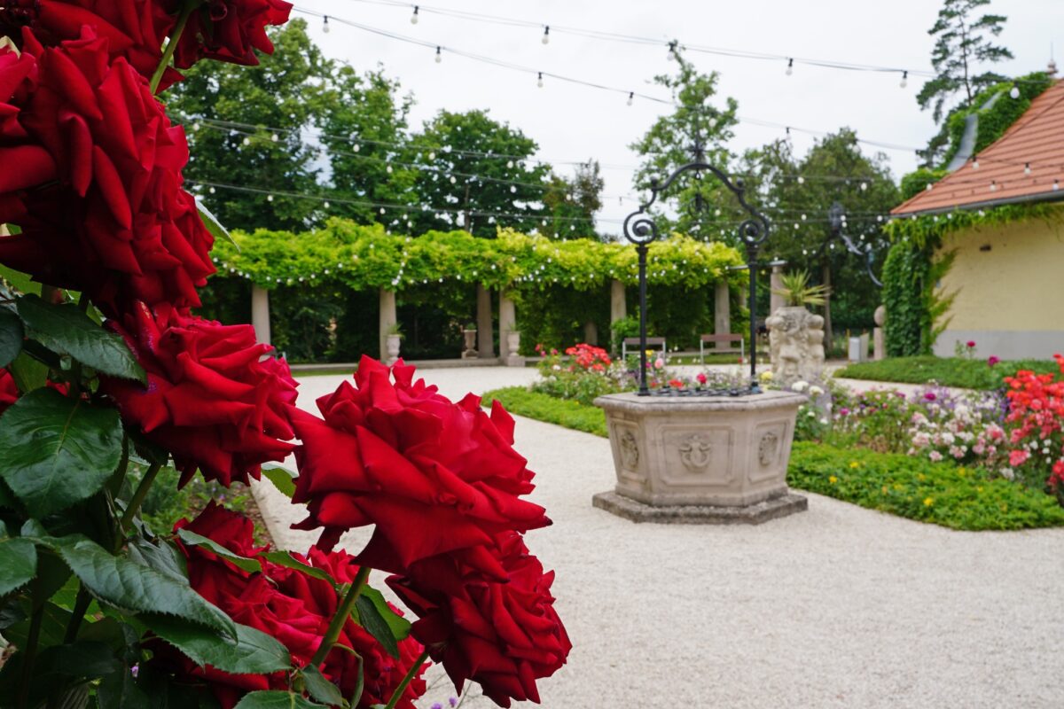 Klebersberg Kastély