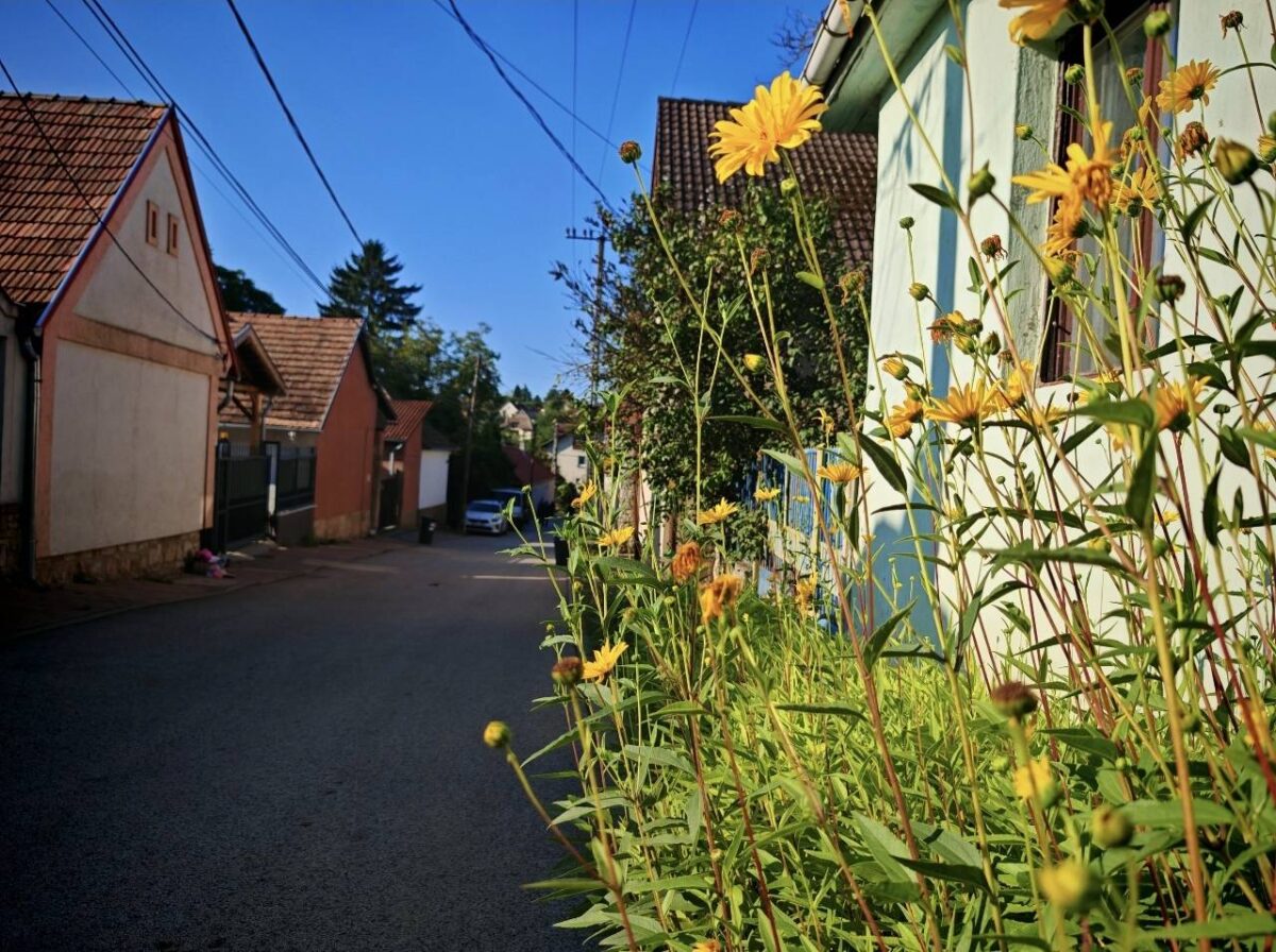 Budapest agglomerációja, Pilisborosjenő, falu, falusi kirándulás, tavasz