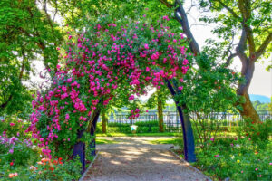 Szent István park