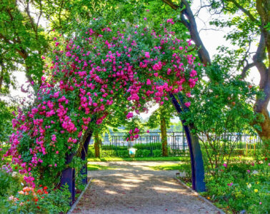 Szent István park
