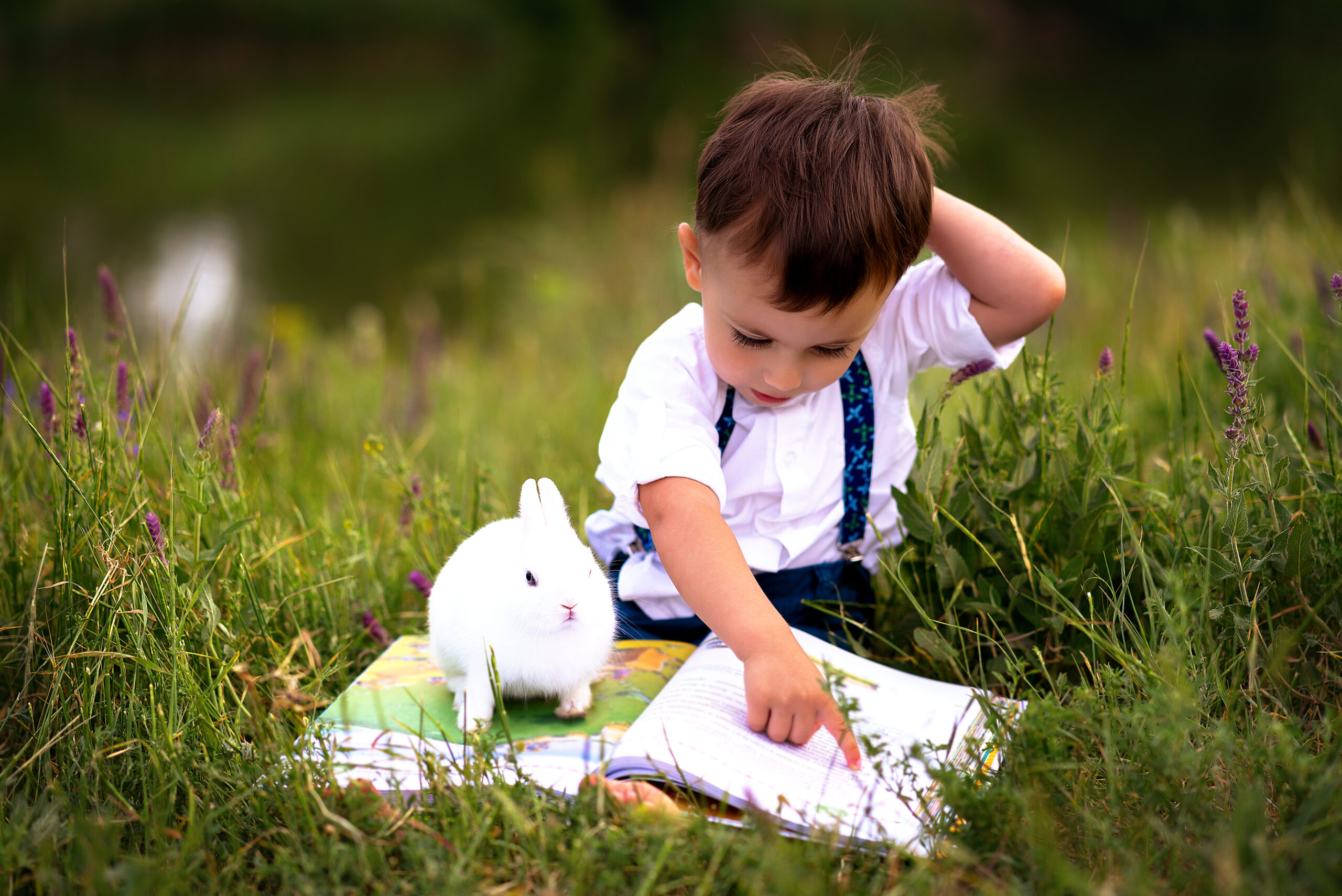 Húsvéti mesekalendárium: 15 elbűvölő gyerekkönyv és nyuszis történet tavaszra