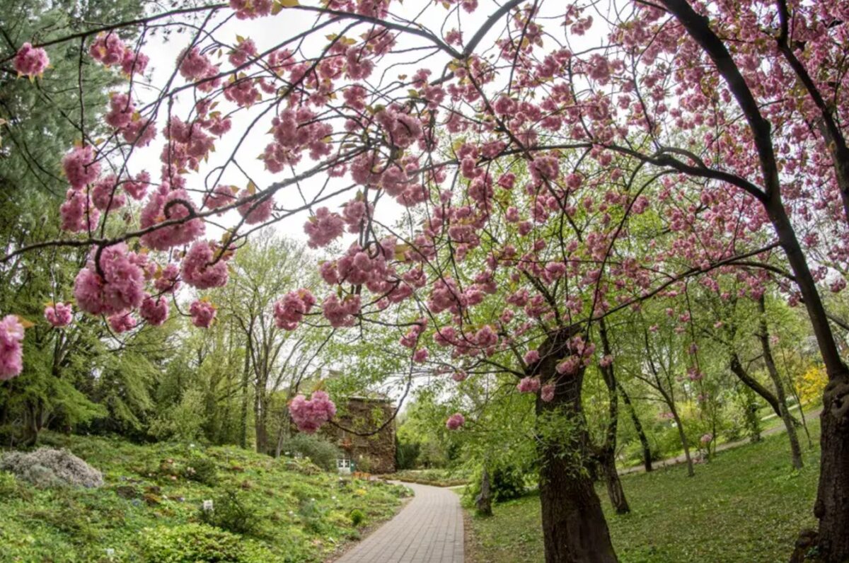 hétvégi programok Budapest 2026 március