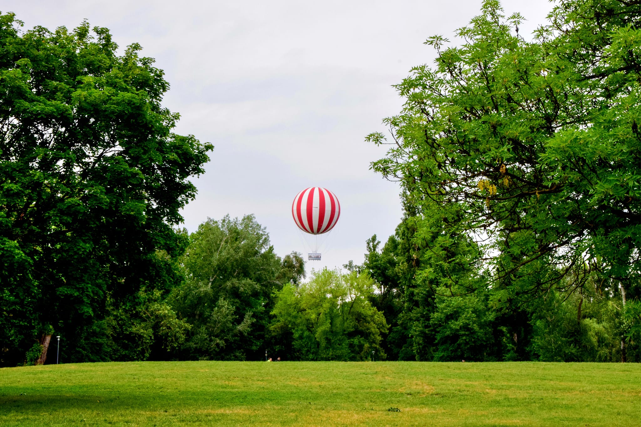 Városligeti piknikkel, koncertekkel és dizájnvásárral ünnepel a 15 éves We Love Budapest