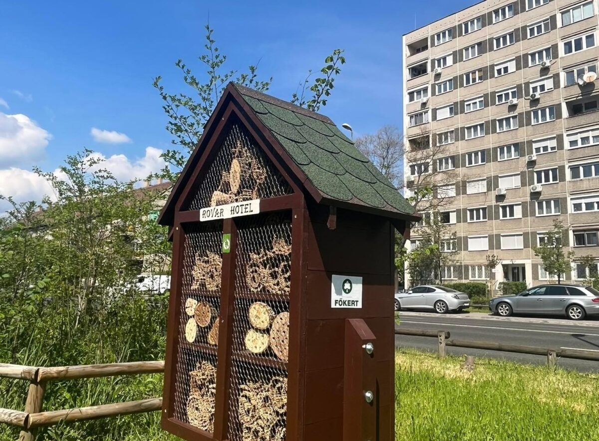 Andor utca Miyawaki-erdő