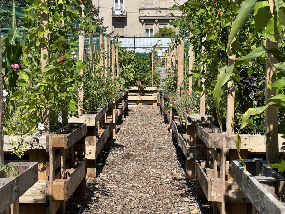 Böszikert közösségi kert Budapest