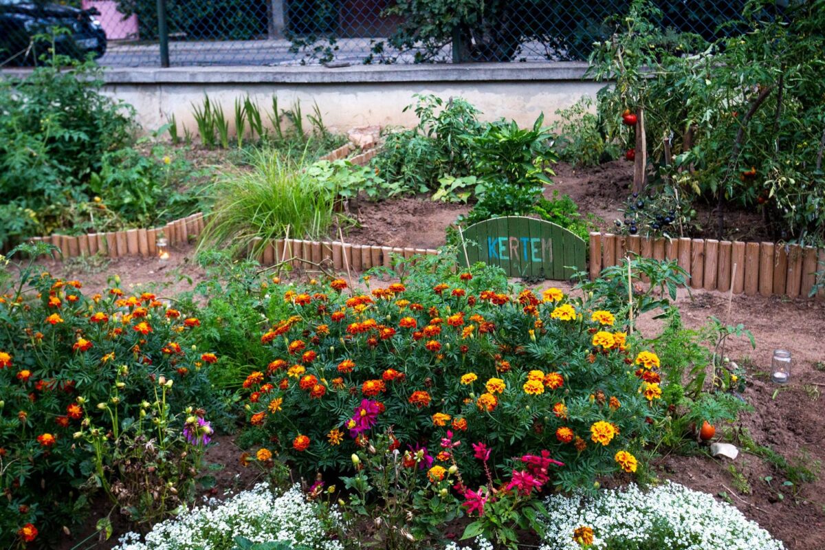 Csárdás Kert közösségi kert