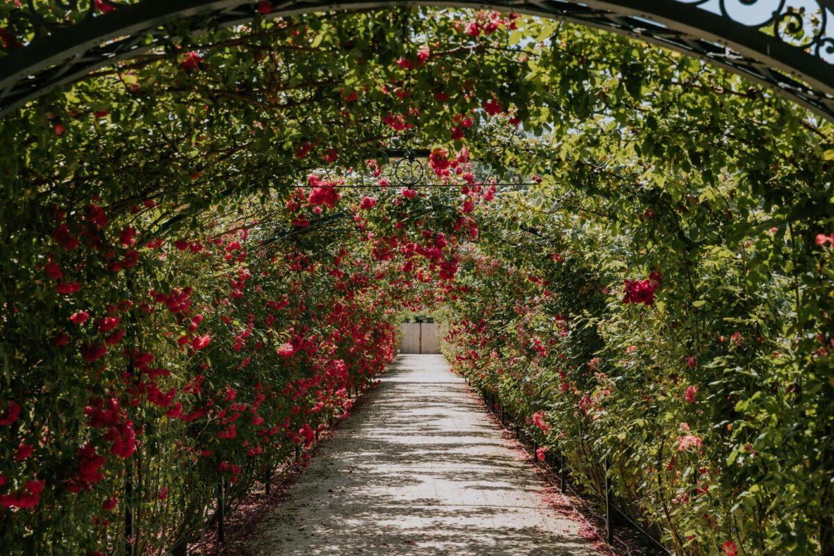 Cziráky Margit rózsakert, Fertőd, Esterházy-kastély