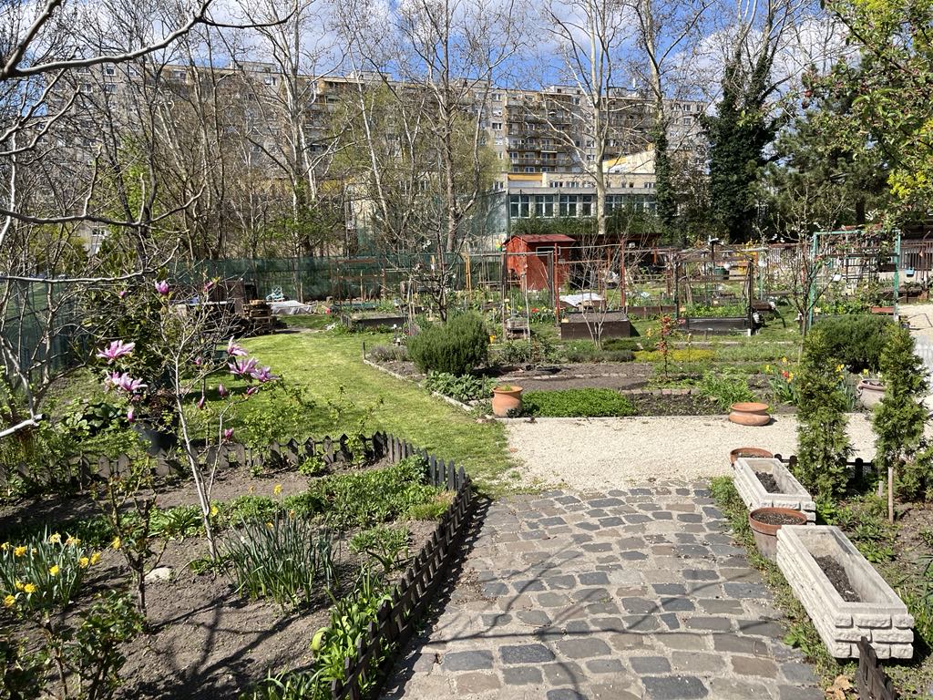 Első Kis-Pesti Kert közösségi kert