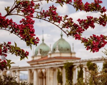 családi nap, tavaszi zsongás