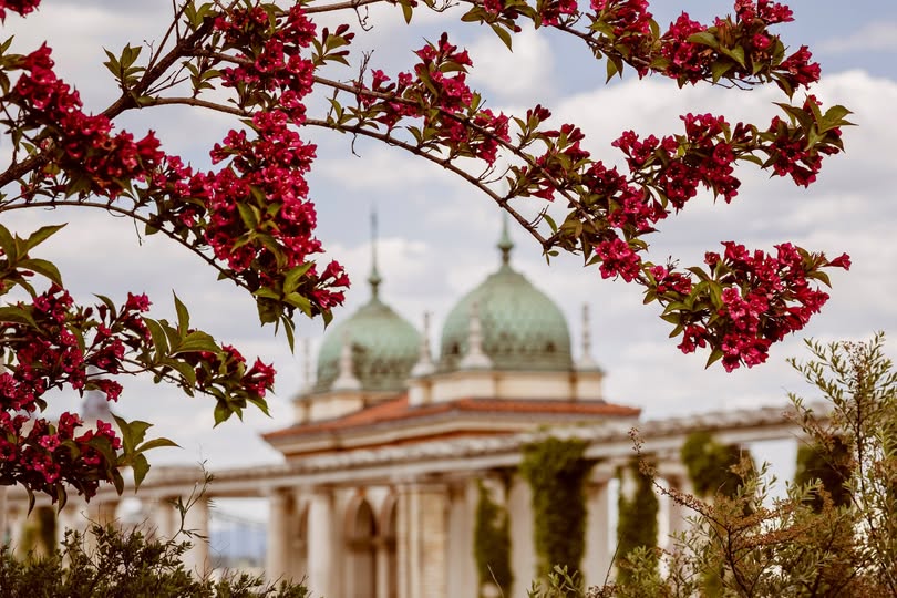 Ingyenes programokkal és tavaszi zsongással várja a családokat a Várkert Bazár