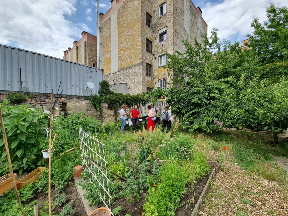 Grundkert közösségi kert