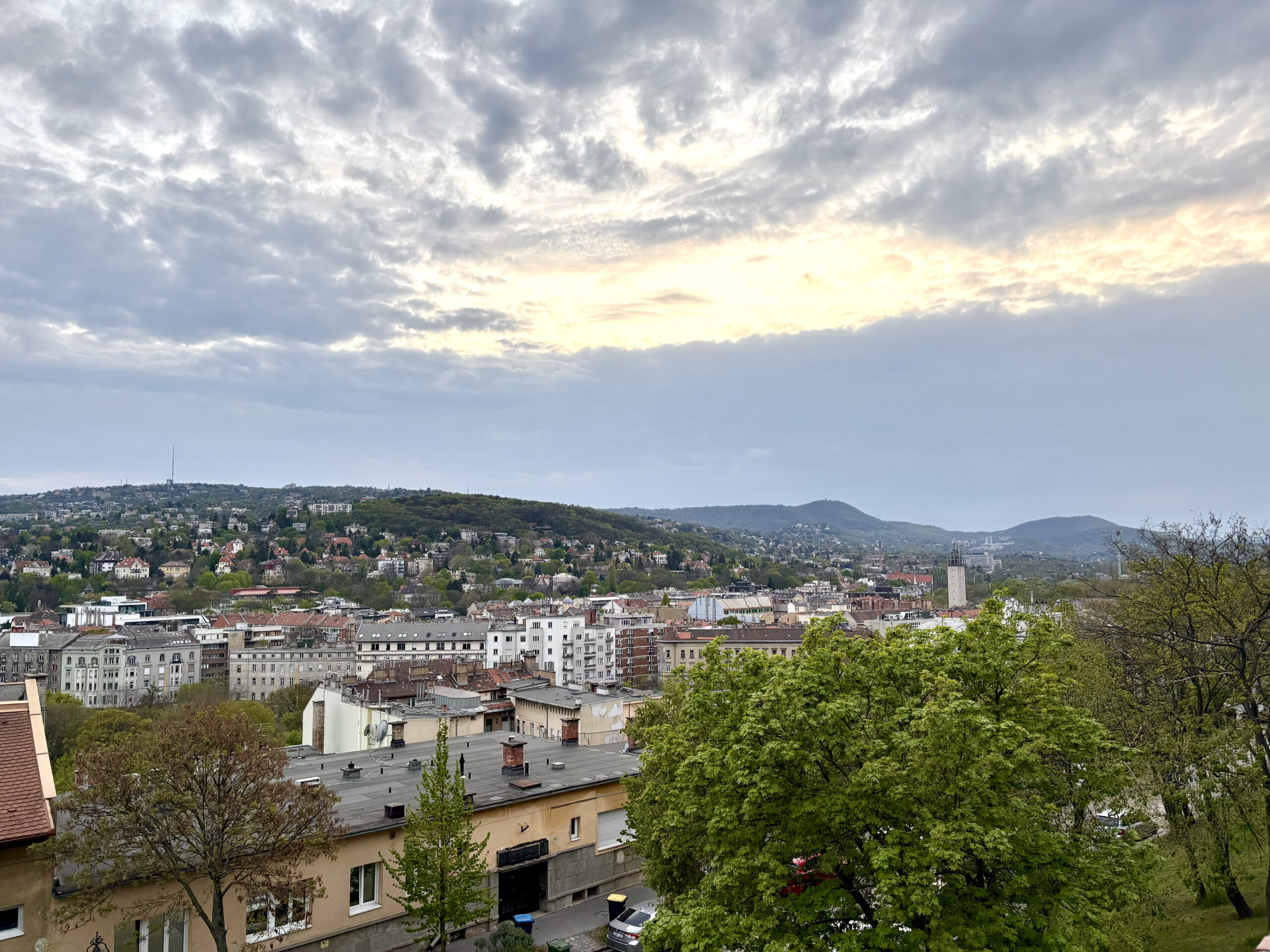 Madárcsicsergős hegyvidéki kalandok: 9 izgalmas kincs a budai hegyek ölelésében