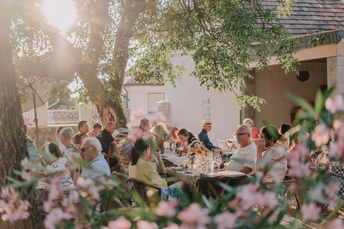 Nefelejcs SKIZO Borház