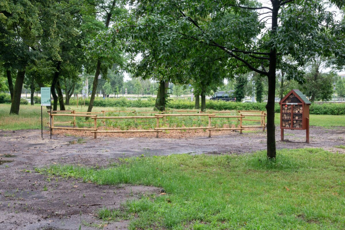 népligeti Miyawaki-erdő