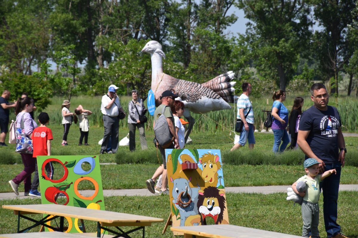 Körös-Maros Nemzeti Park Túzokfesztivál