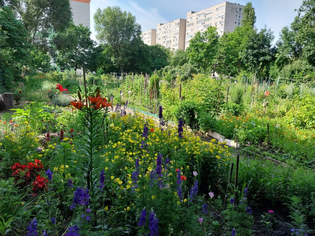 ZUG - Zuglói Közösségi Kert