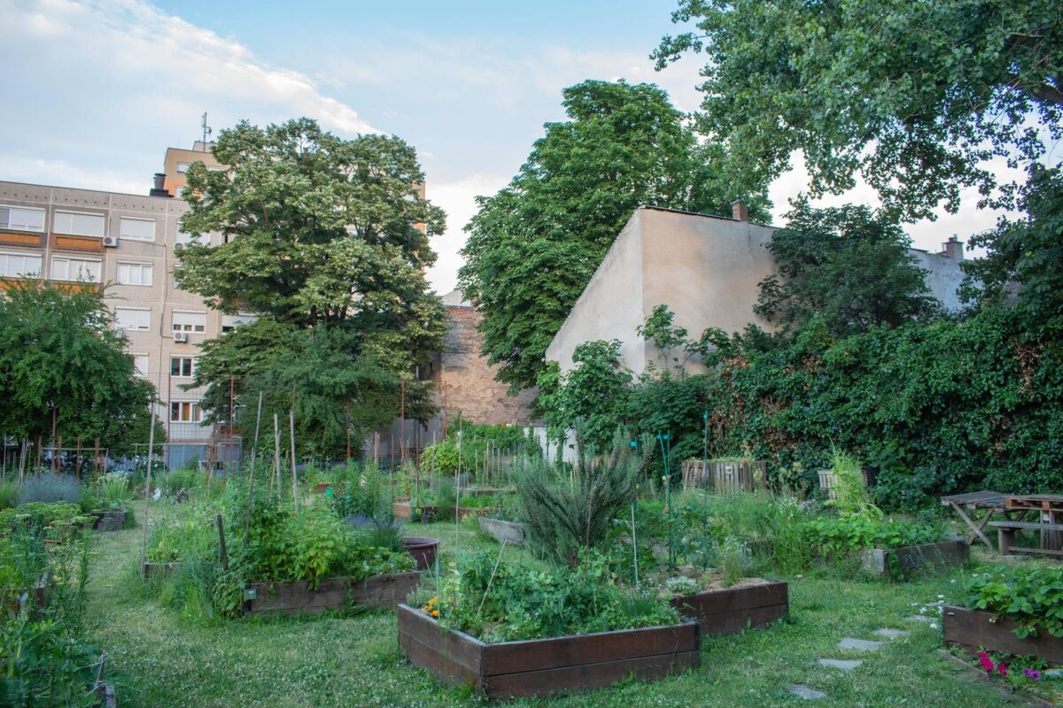 Zápor Kert közösségi kert