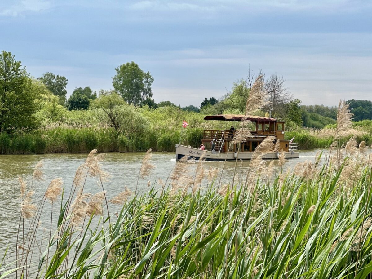 anyák napja programok budapest 2026