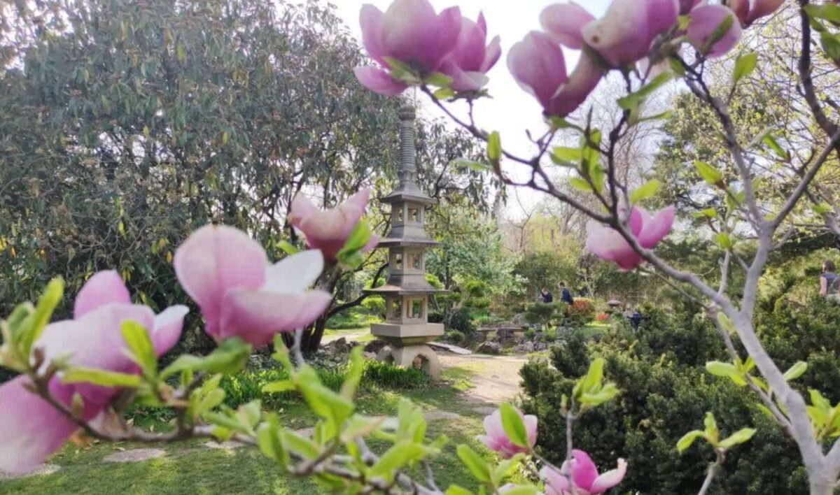 tavaszi programok budapesten