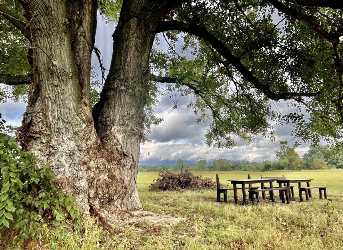 hétévégi programok budapest gyerekeknek