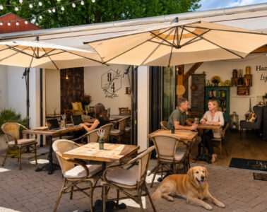 84 Bisztró Hazai Provence kutyabarát hely