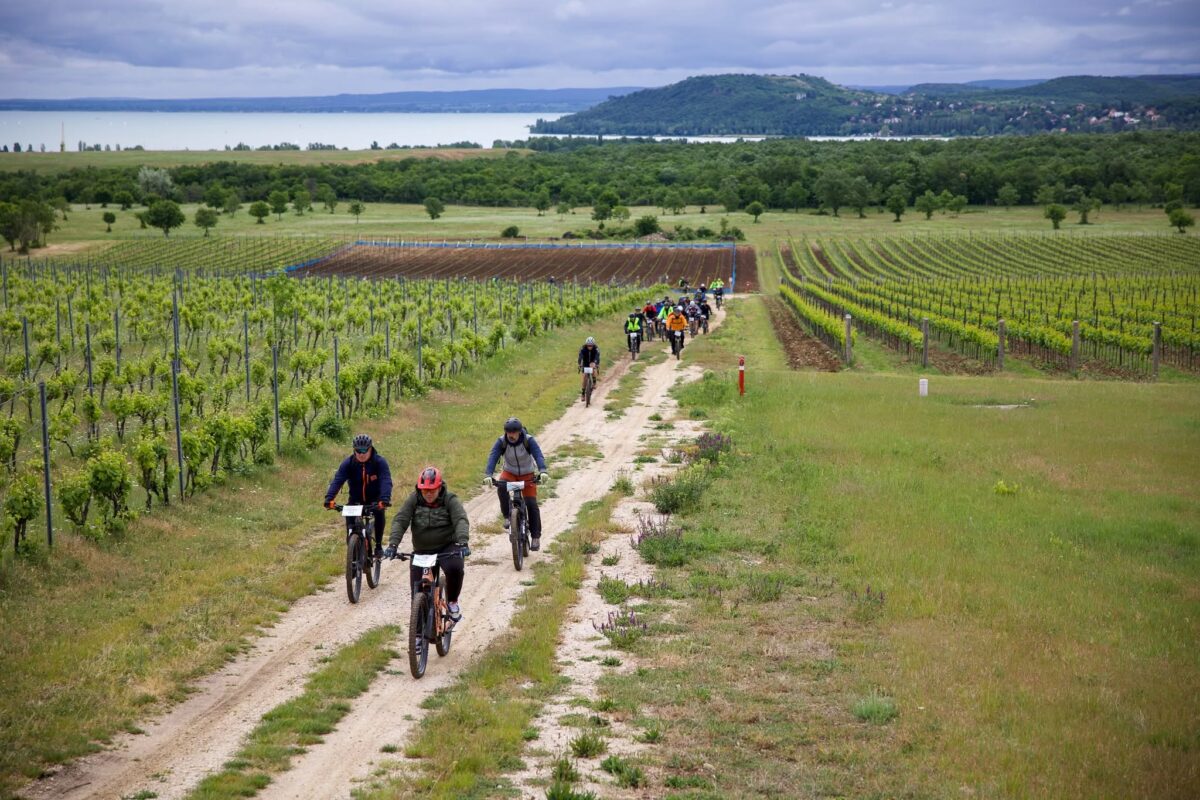 BalatonBike365 e-bike
