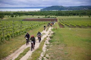 BalatonBike365 e-bike