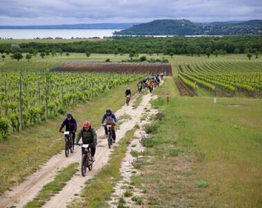 BalatonBike365 e-bike