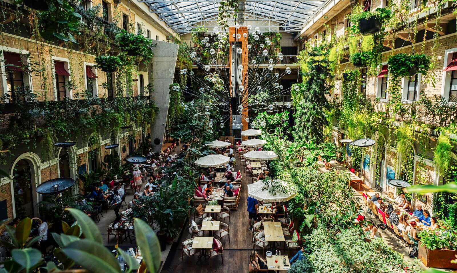 6 Cozy, Urban Jungles for Rainy Days in Budapest