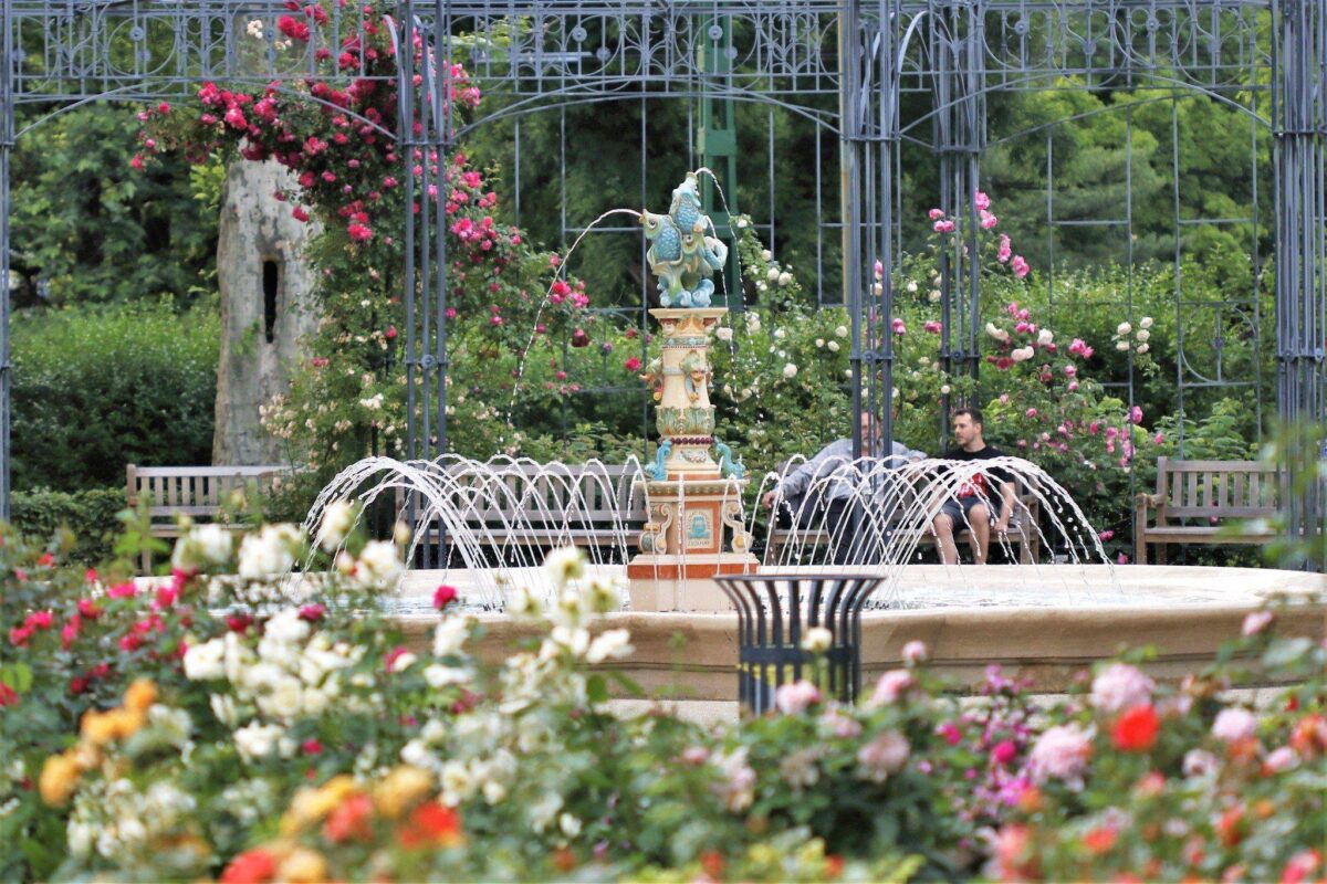City Park Budapest