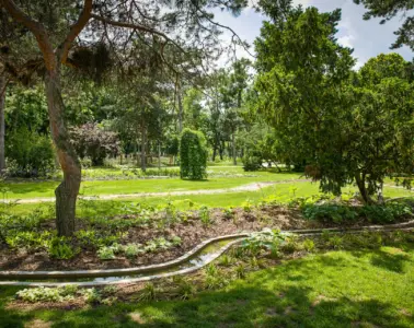 Városliget mezítlábas ösvény Kneipp ösvény